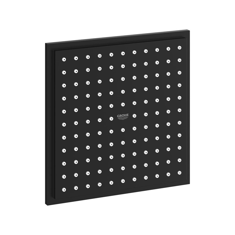 Euphoria Rain Fixed Shower Head