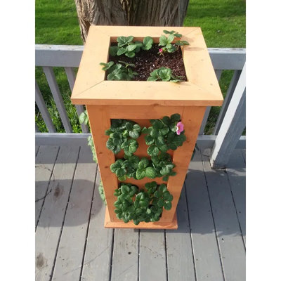 Pot de fleurs en bois