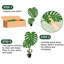 120cm Plant
