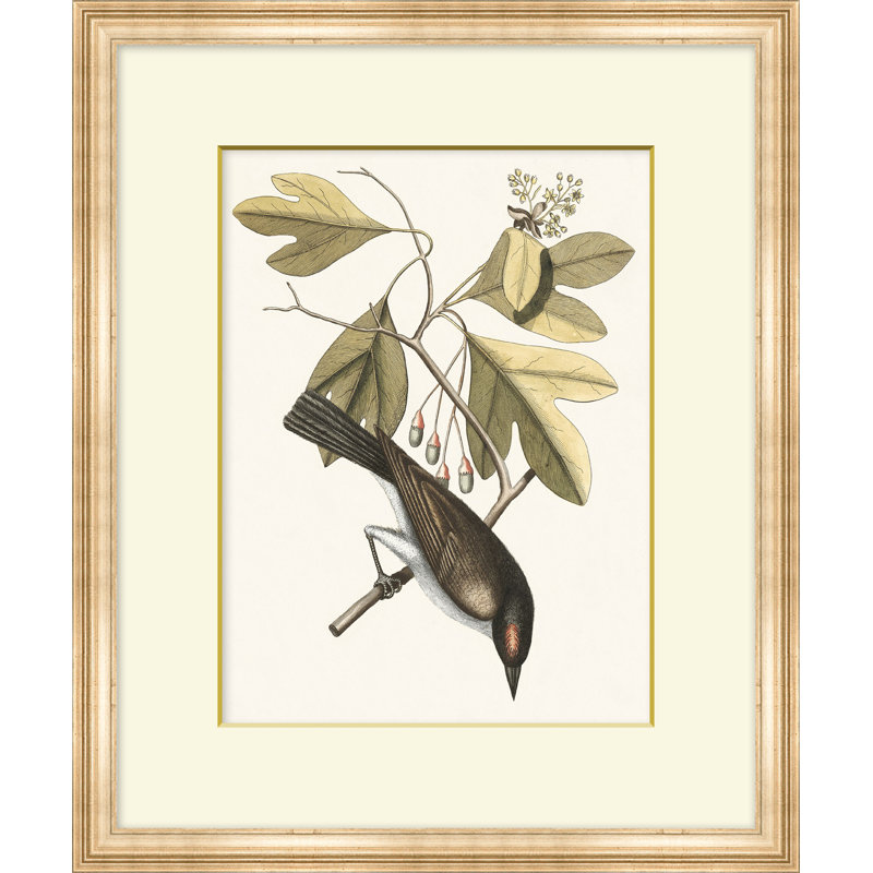 Summer Bird 2 Print