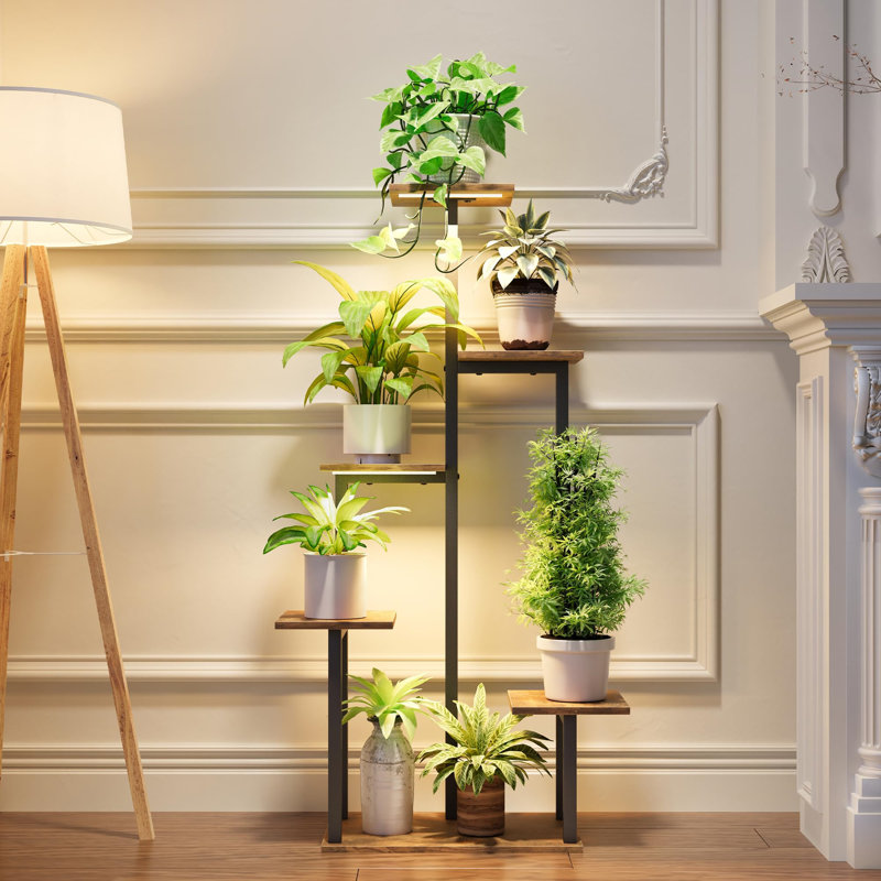Plant Stand - Set of 5