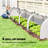 Mini Greenhouse, 177.2" x 39.4" x 31.5" Portable Greenhouse with 4 Roll-Up Doors, PE Cover, Small Green House for Indoor Outdoor, White-123764059