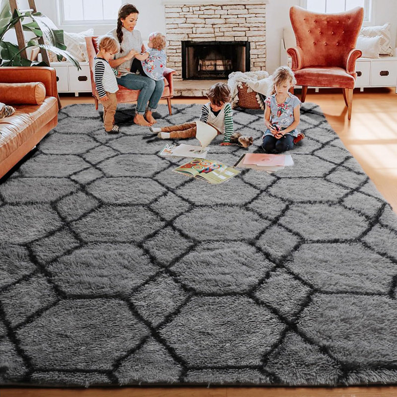 Living Room Carpet