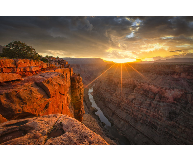 1 Piece Wrapped Canvas Wall Art, 50.8cm H x 76.2cm W