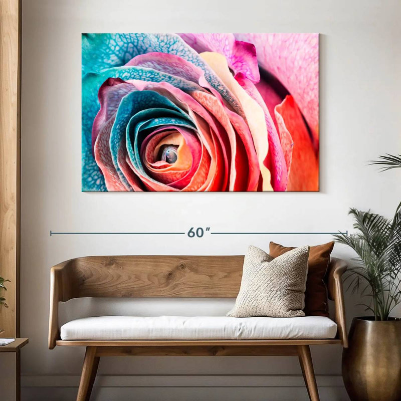 Rose colorée Harnek, H 32 po x l 48 po