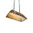 Elizalde 6 - Light Timeless Bronze Pendant
