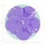 Hibiscus Orchid Vegan Leather Round Coasters-318645981
