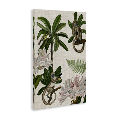 Tropical Monkey Studies Canvas Wall Art by Vision Studio