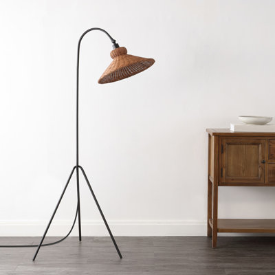 Plumeria 63.75'' Black Arched Floor Lamp