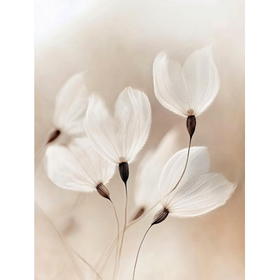 Ethereal Blossoms by Other Artist