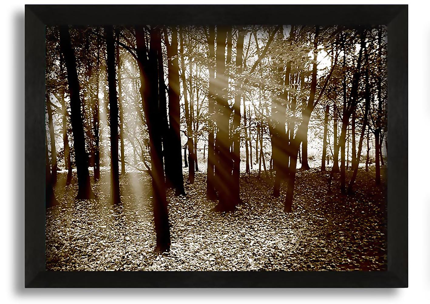 Union Rustic Sun Beams Through the Chocolate Forest - Picture Frame ...