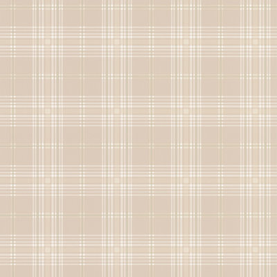 Asdsit 10m x 52.8cm Matte Paste the Wall Wallpaper Roll