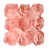 Rose pêche sélectionné