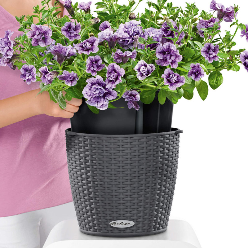 Hanging Planter, Mocha, 23cm H x 35cm W x 35cm D