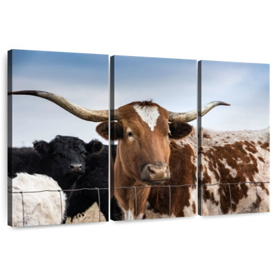 Longhorn tacheté Brampt