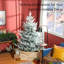 Arbre de Noël artificiel de 6 pieds, arbre de Noël à charnière en pin avec 795 branches réalistes, base en acier, ouverture automatique-117671851