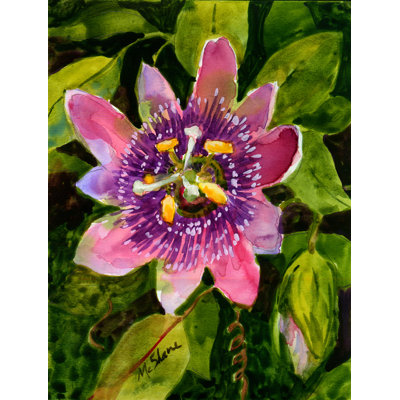 Fleur De La Passion Jardin Recto-verso Flag
