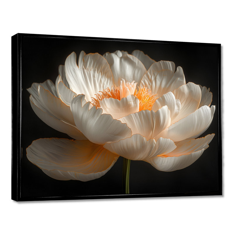 Riveria - pivoines, impression d'art mural, H 12 po x l 20 po, Cadre noir