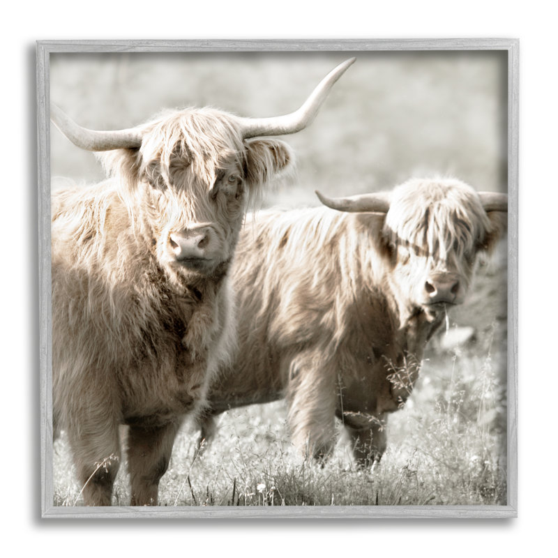 Paire de bovins Highland par Danita Delimont - photographie sur bois, H 12 po x l 12 po x P 1,5 po