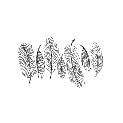 Croquis de plumes - impression sur toile tendue