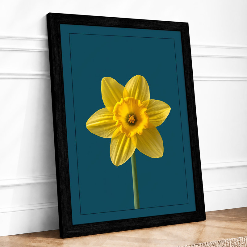 Golden Daffodil Botanical - Framed Print, A2 - 59.4 x 42.0 cm, Black