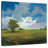 Alvord Blue Sky