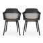 Ensemble de 2 chaises