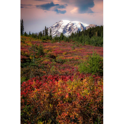 " Mount Rainier Autumn "