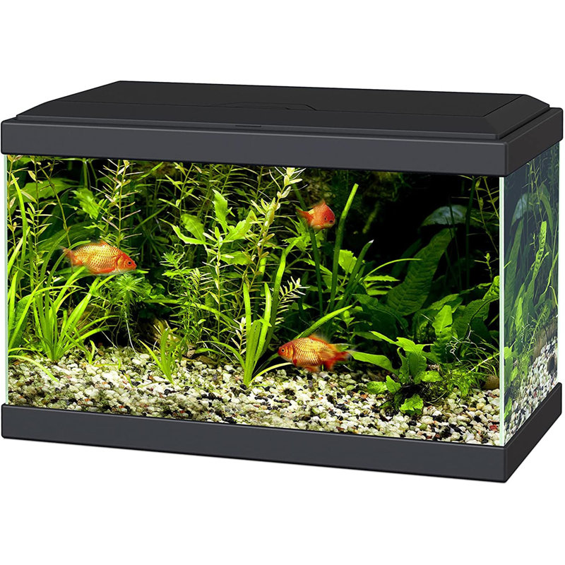 20 Aquarium With LED Lights & Filter BLACK