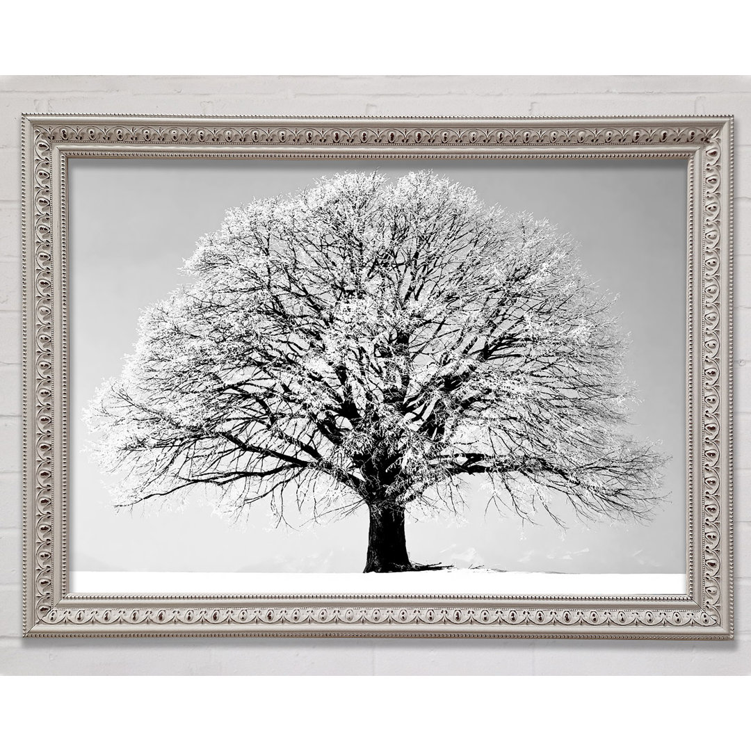 Winter Tree B N W - Einzelner Bilderrahmen Kunstdrucke