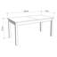 Denerio Dining Table