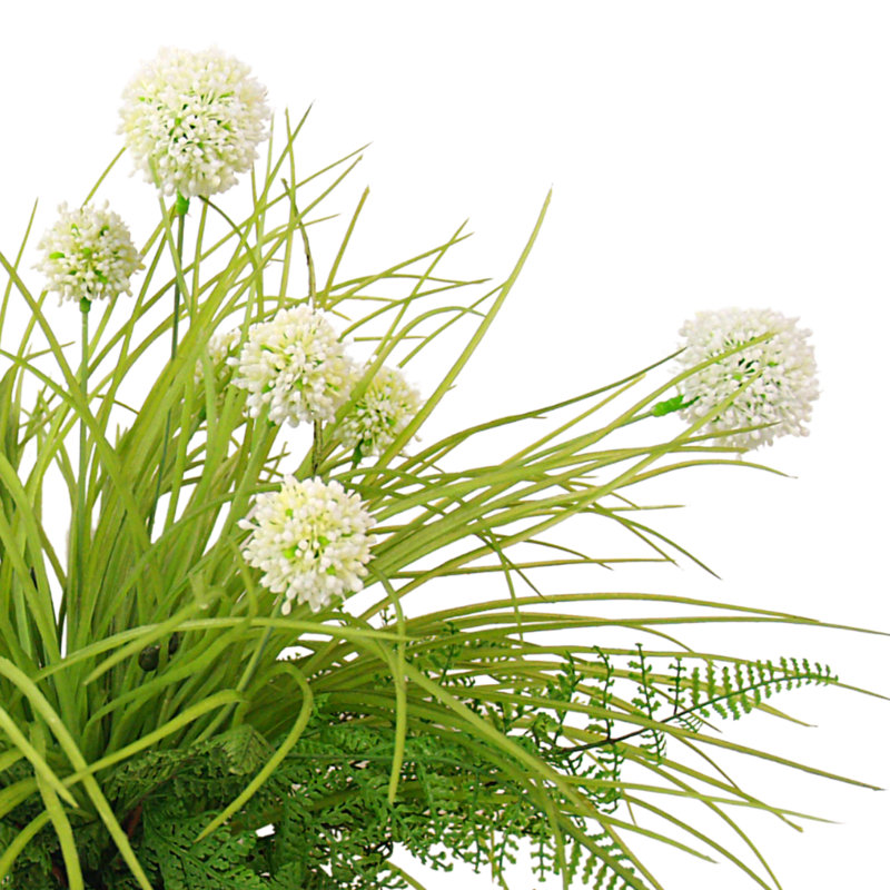 Allium and Fern Floral in Vase with Shells