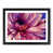 Black Framed selected