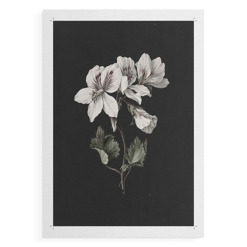 Imprimé floral rétro CLII - impression sur toile seulement - non encadrée, H 18 po x l 12 po