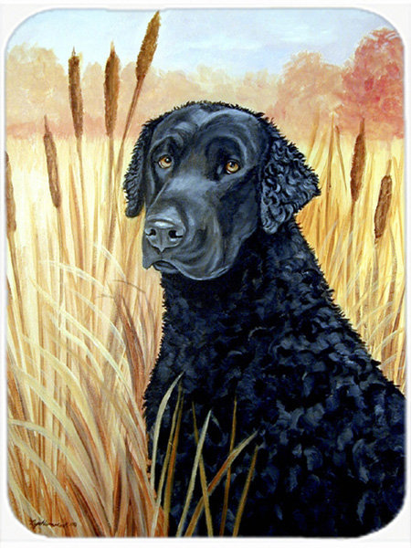 Planche à découper en verre trésors caroline Curly Coated Retriever