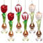 Tulip Bulb Ornament, 7 Inches