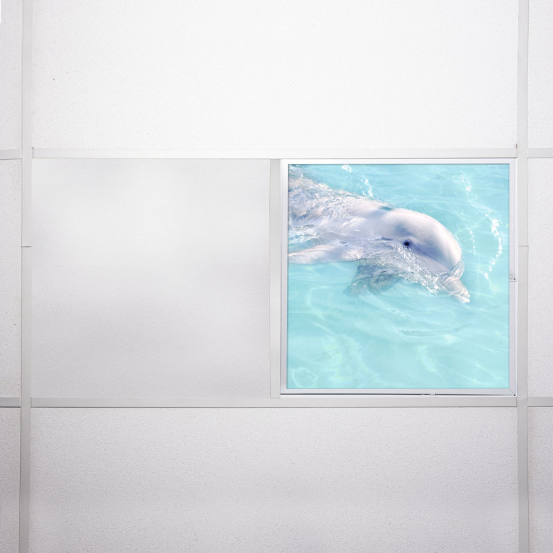 Ocean Rectangle Fixture Component Ceiling Light