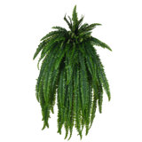 56" Green Artificial Boston Fern Bush