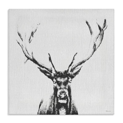 Stag Sketch in Grey Canvas Wall Art by Katrina Craven
