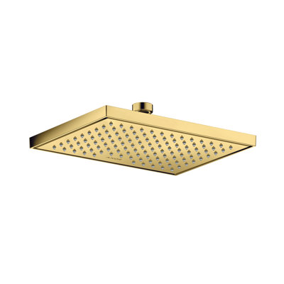 Rain Fixed Shower Head