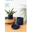 Carlotta Ceramic Pot Planter-607820780-607820782