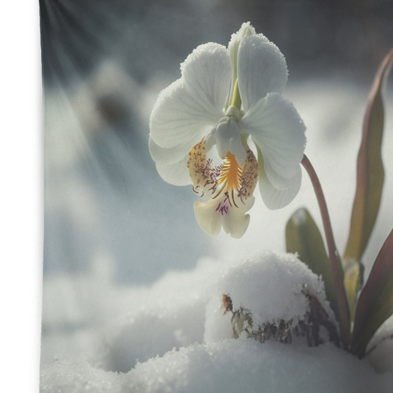 Polyester avec fleur d'orchidée blanche en hiver et tapisserie avec des punaises, H 32 po x l 39 po