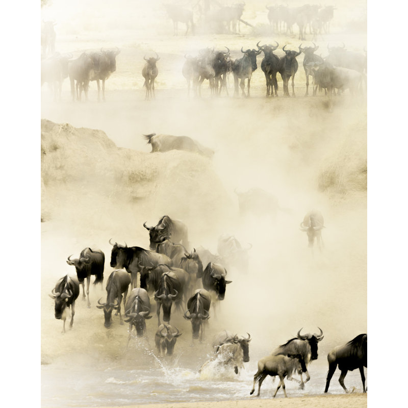 Wrapped Canvas Print, 76.2 cm H x 50.8 cm W