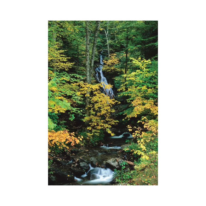 Moss Glen Falls, Vermont Route 100, Granville Reservation State Park, Vermont, USA II 1 Piece Wrapped Canvas Wall Art