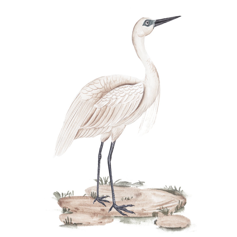 A White Heron II by Melissa Wang - Painting, 30cm H x 20cm W, Black Floater Framed