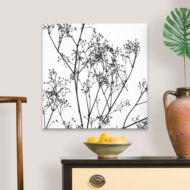 Reproduction d’art graphique sur toile, "gypsophilia on White" par Tom Quartermaine, Toile tendue