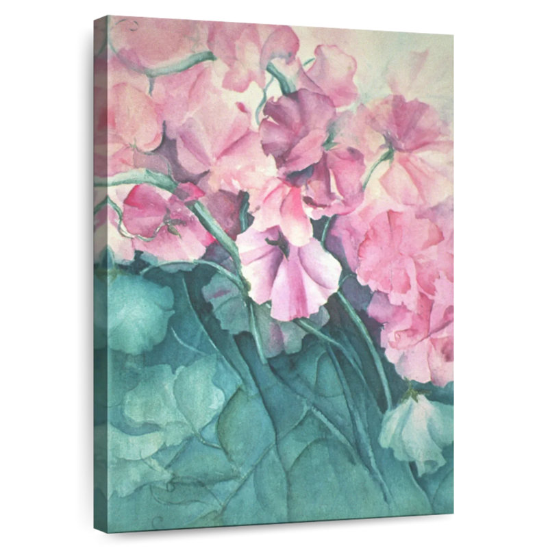 Harnek Sweet Peas Pink Pride, 51" H x 34" W