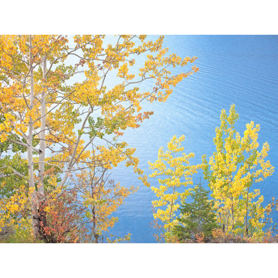 Swan Valley Autumn Portrait #6 Print by Bruce Heinemann