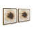 Polished Gold Floater Framed