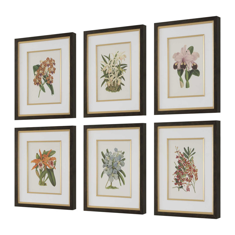 Uttermost Orchid Botanical Framed Prints Set/6